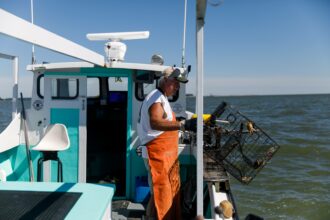 JC Hudgins pulls in his test crab pots in the Chesapeake Bay in Mathews, Virginia, on Friday, June 10, 2022. Credit: Kristen Zeis/Deep Indigo Collective for Inside Climate News