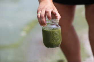 Carol Snyder of Northwood, Ohio holds up a jar with water collected from Lake Erie at Maumee Bay State Park August 4, 2014 in Oregon, Ohio. Toledo, Ohio area residents were once again able to drink tap water after a two-day ban due to algae-related toxins.