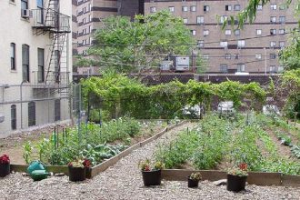 NYC Urban Garden