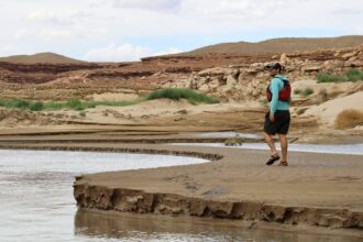 Eric Balken, executive director of Glen Canyon Institute, walks along a sandbar once submerged by Lake Powell. As the reservoir drops to record lows, areas that were underwater for decades have begun to emerge. Credit: Alex Hager