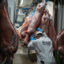 A worker moves newly-delivered pork to a wholesale butcher at Smithfield Market on Feb. 14, 2023 in London, England. Credit: Carl Court/Getty Images